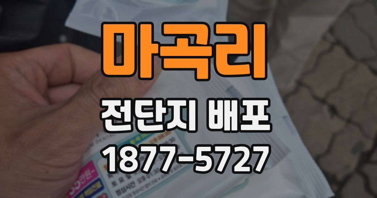 마곡리 전단지 배포