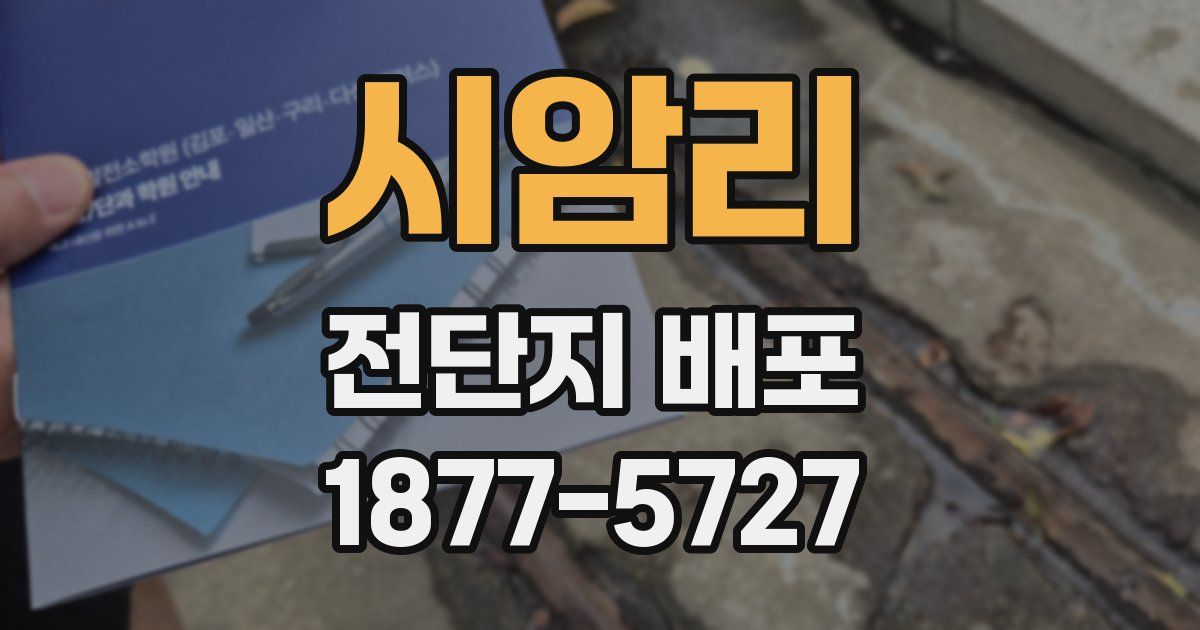 시암리 전단지 배포