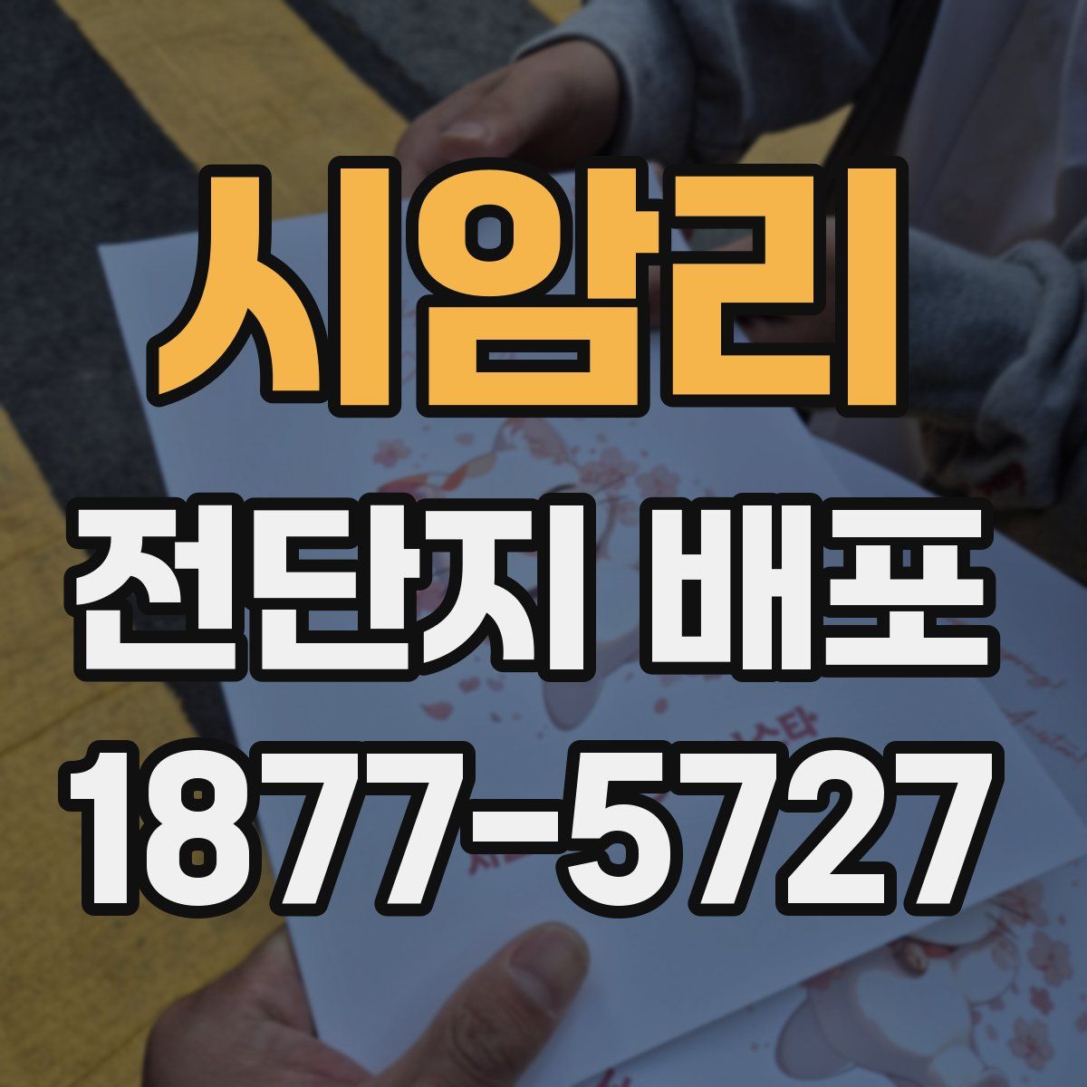 시암리 전단지 배포