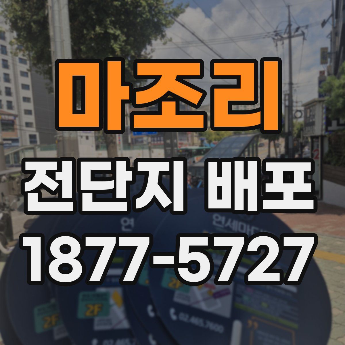 마조리 전단지 배포