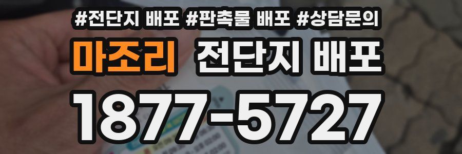 마조리 전단지 배포