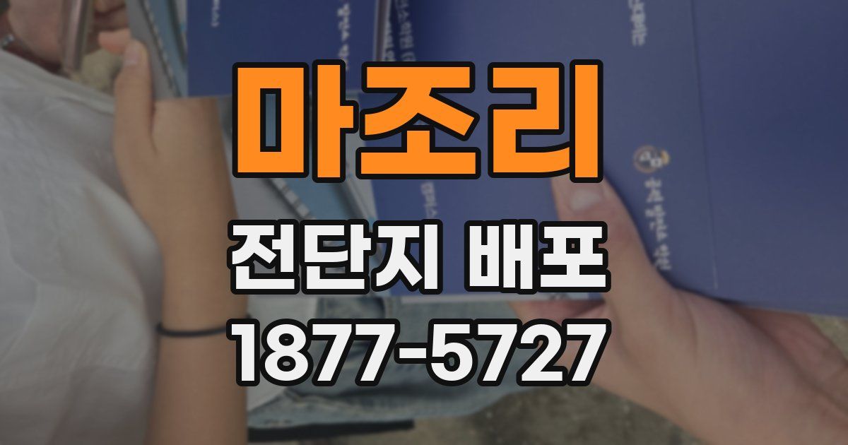 마조리 전단지 배포