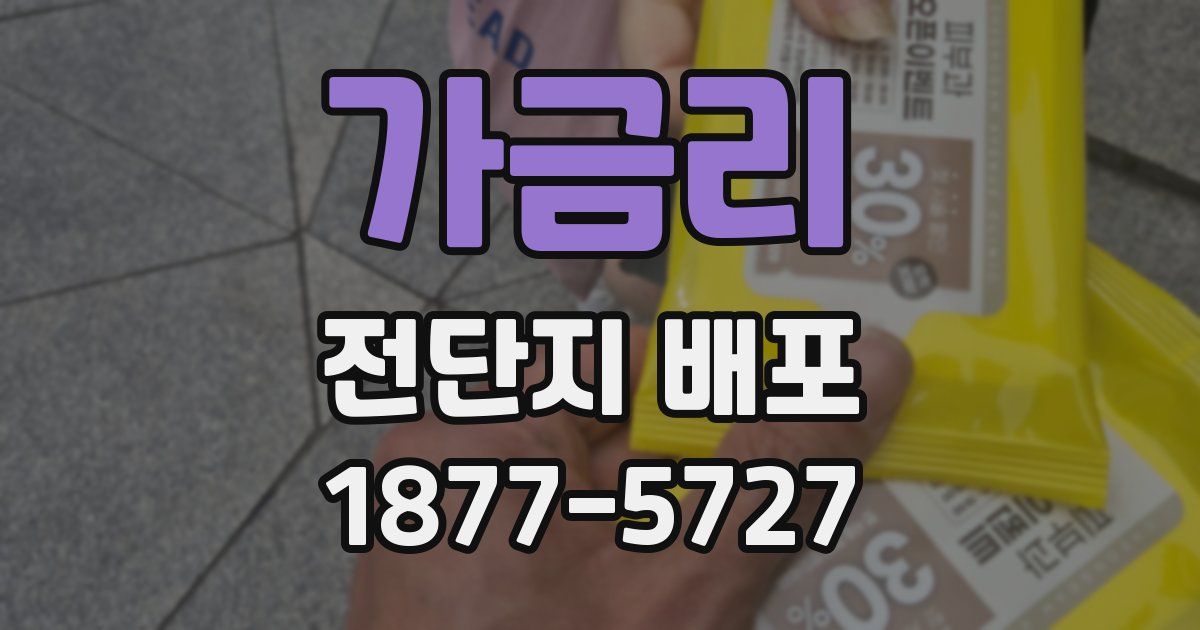 가금리 전단지 배포