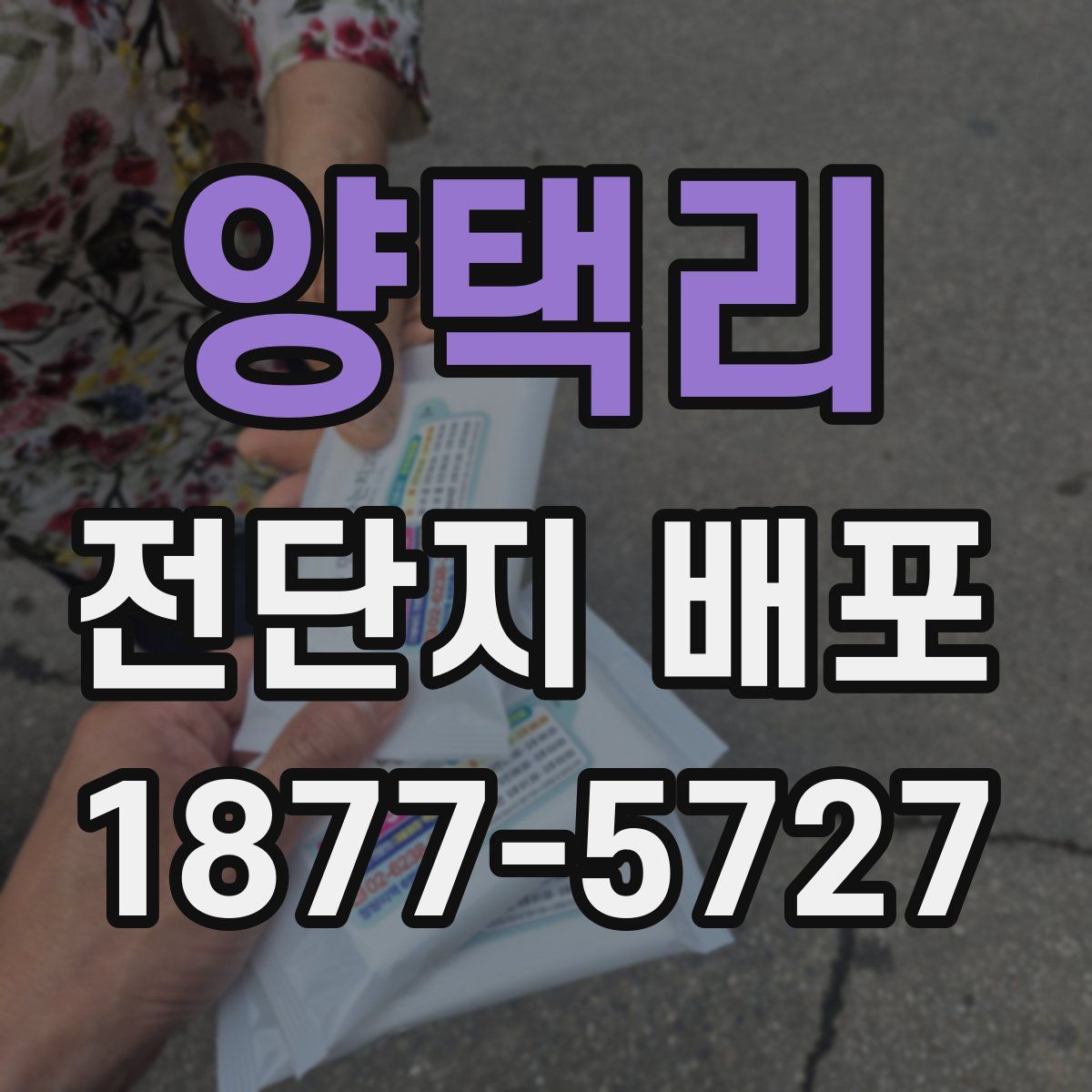 양택리 전단지 배포