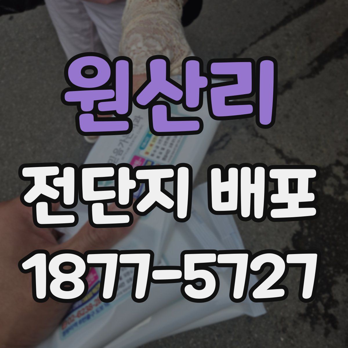 원산리 전단지 배포