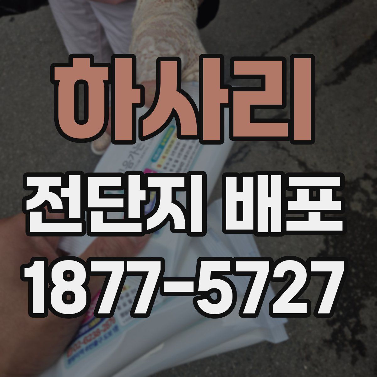 하사리 전단지 배포