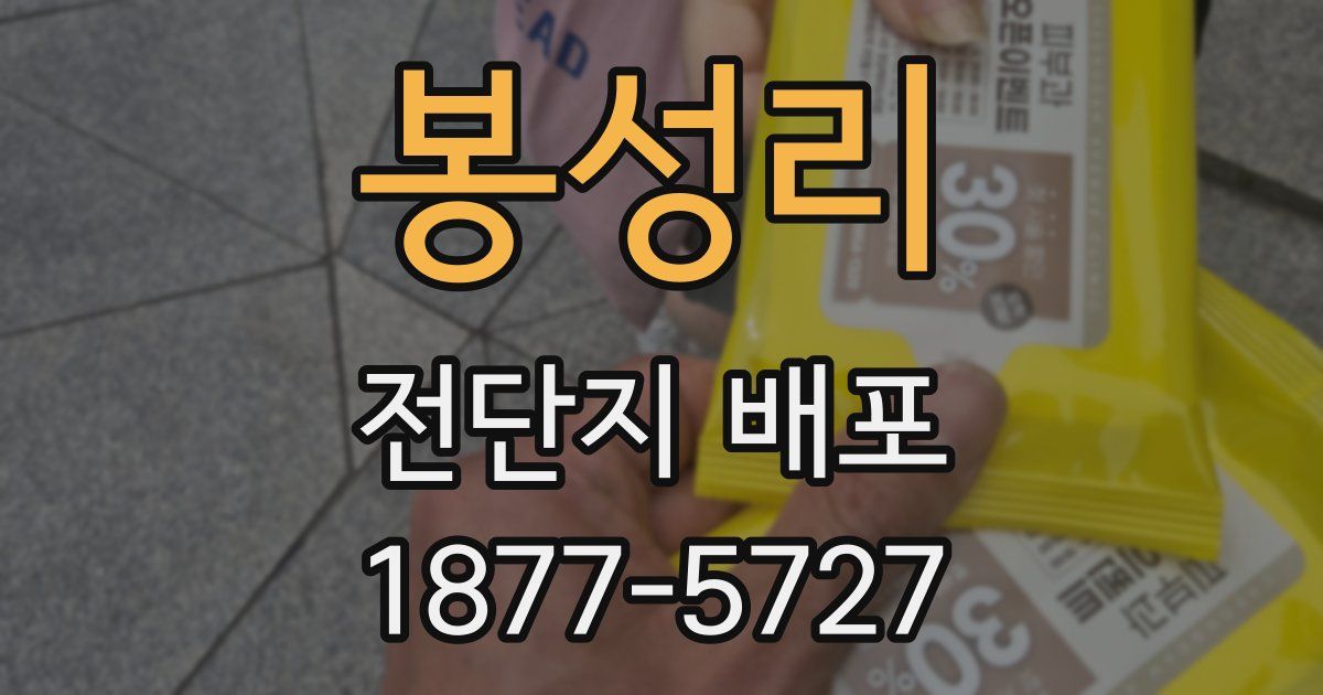 봉성리 전단지 배포