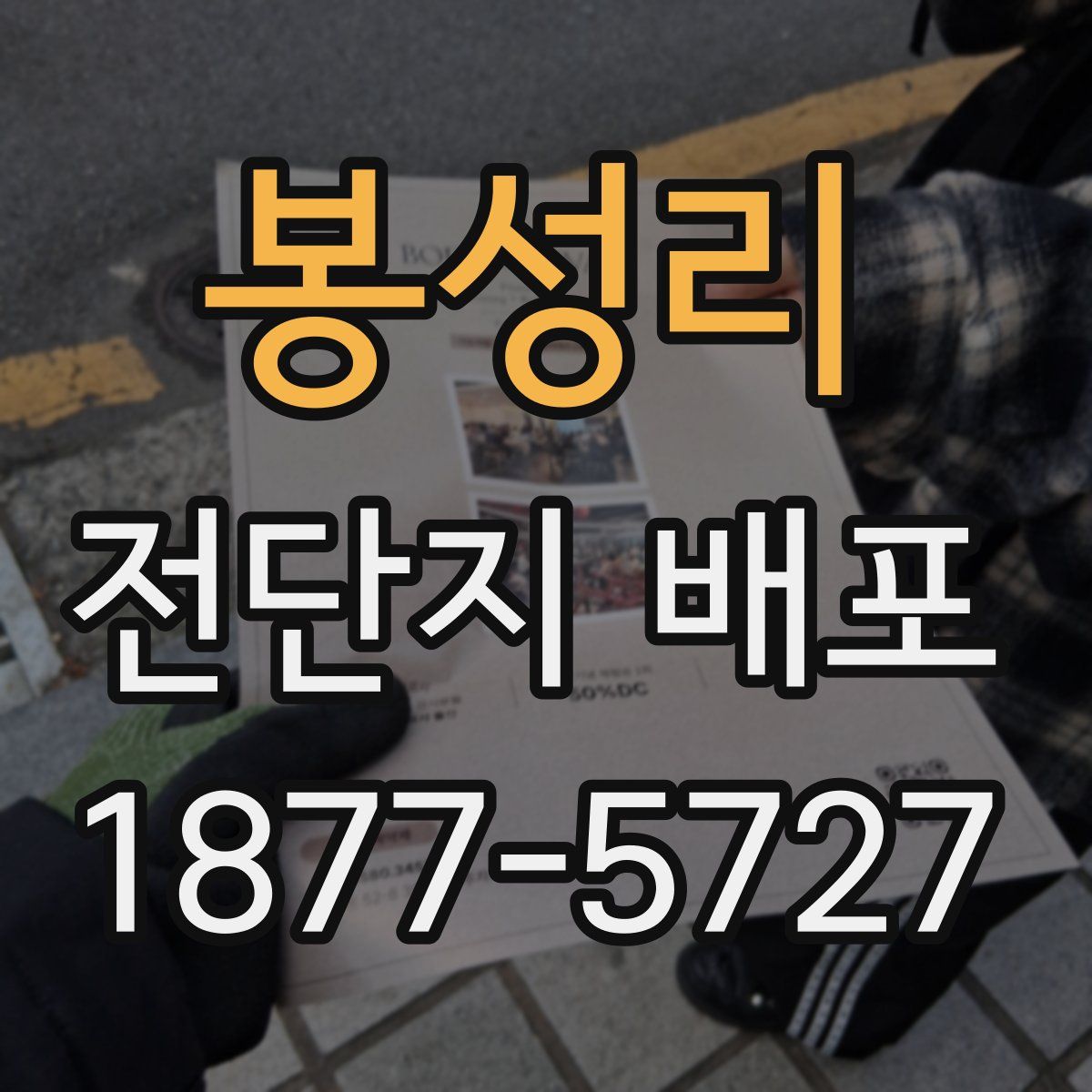 봉성리 전단지 배포