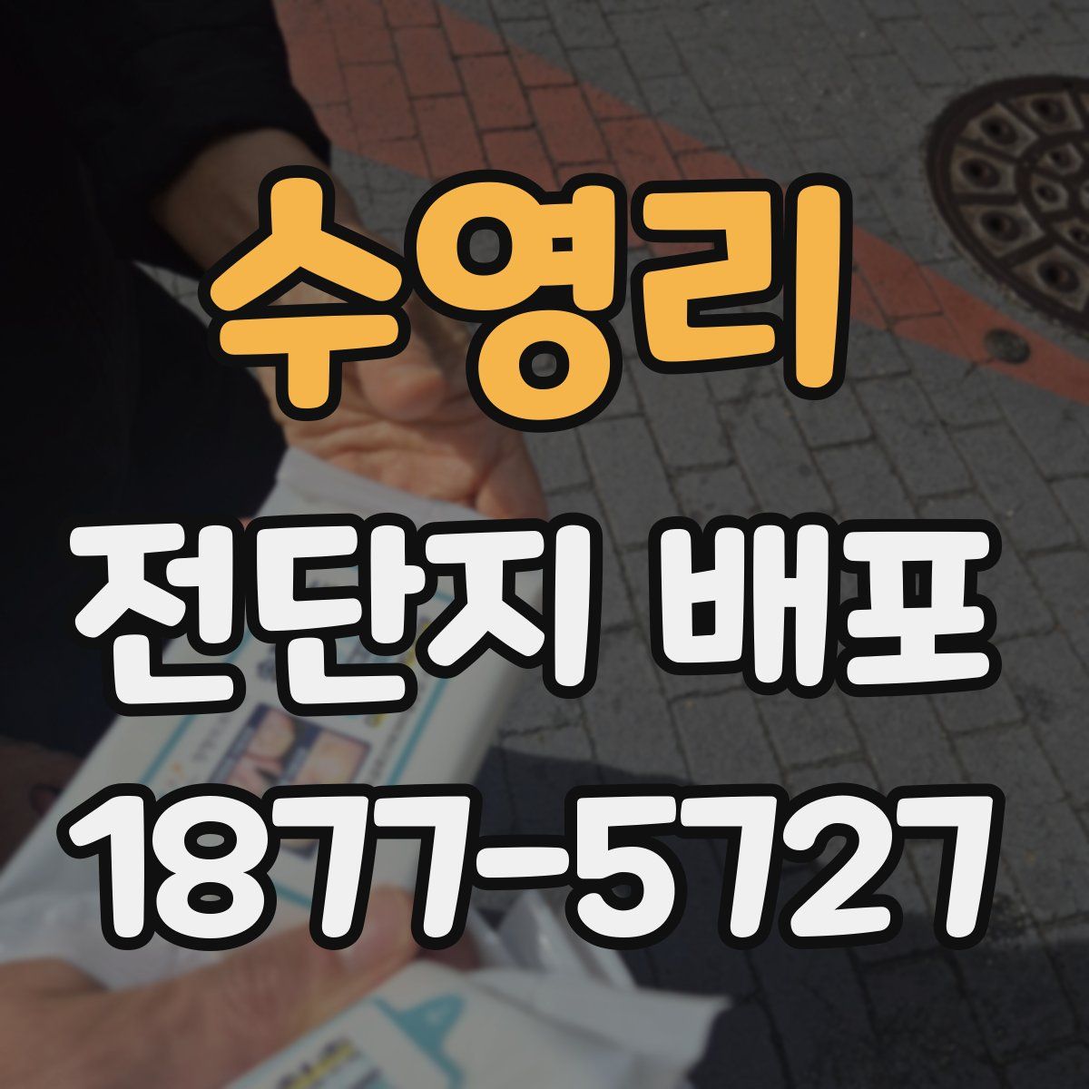 수영리 전단지 배포
