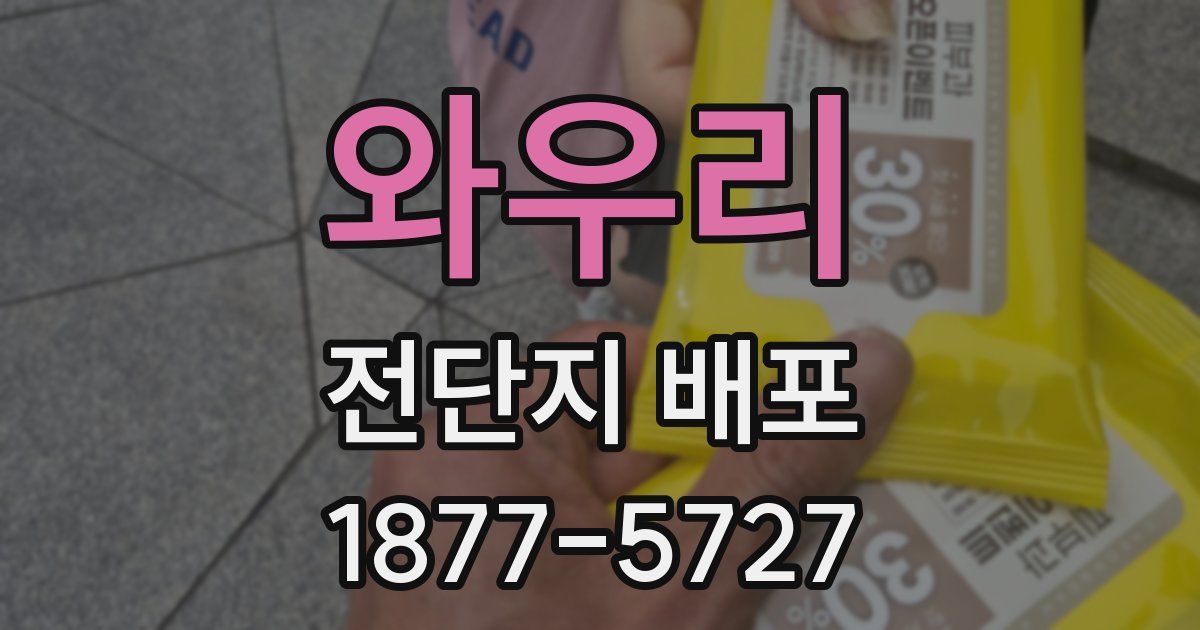 와우리 전단지 배포
