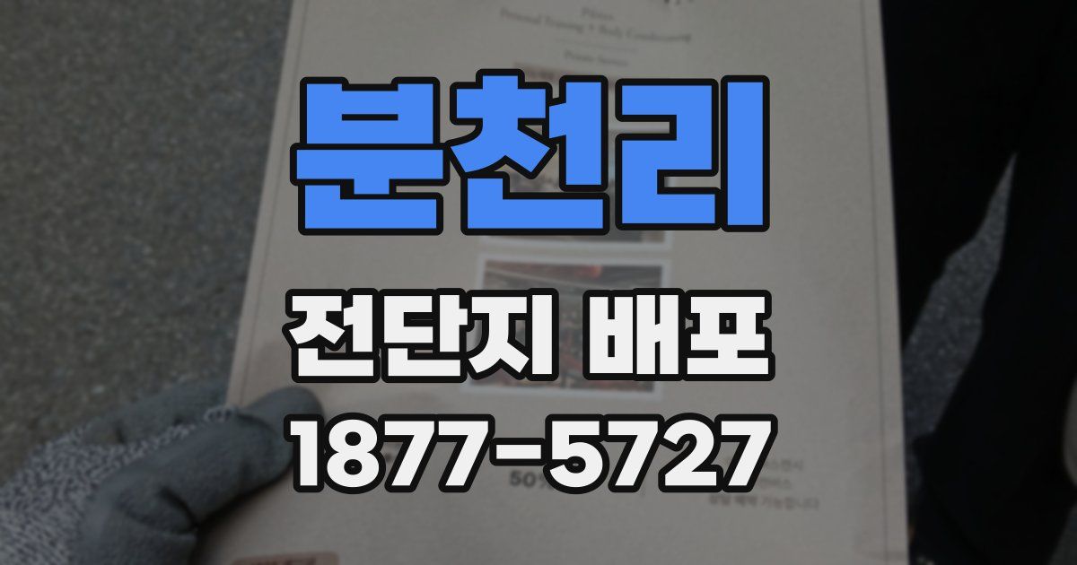 분천리 전단지 배포