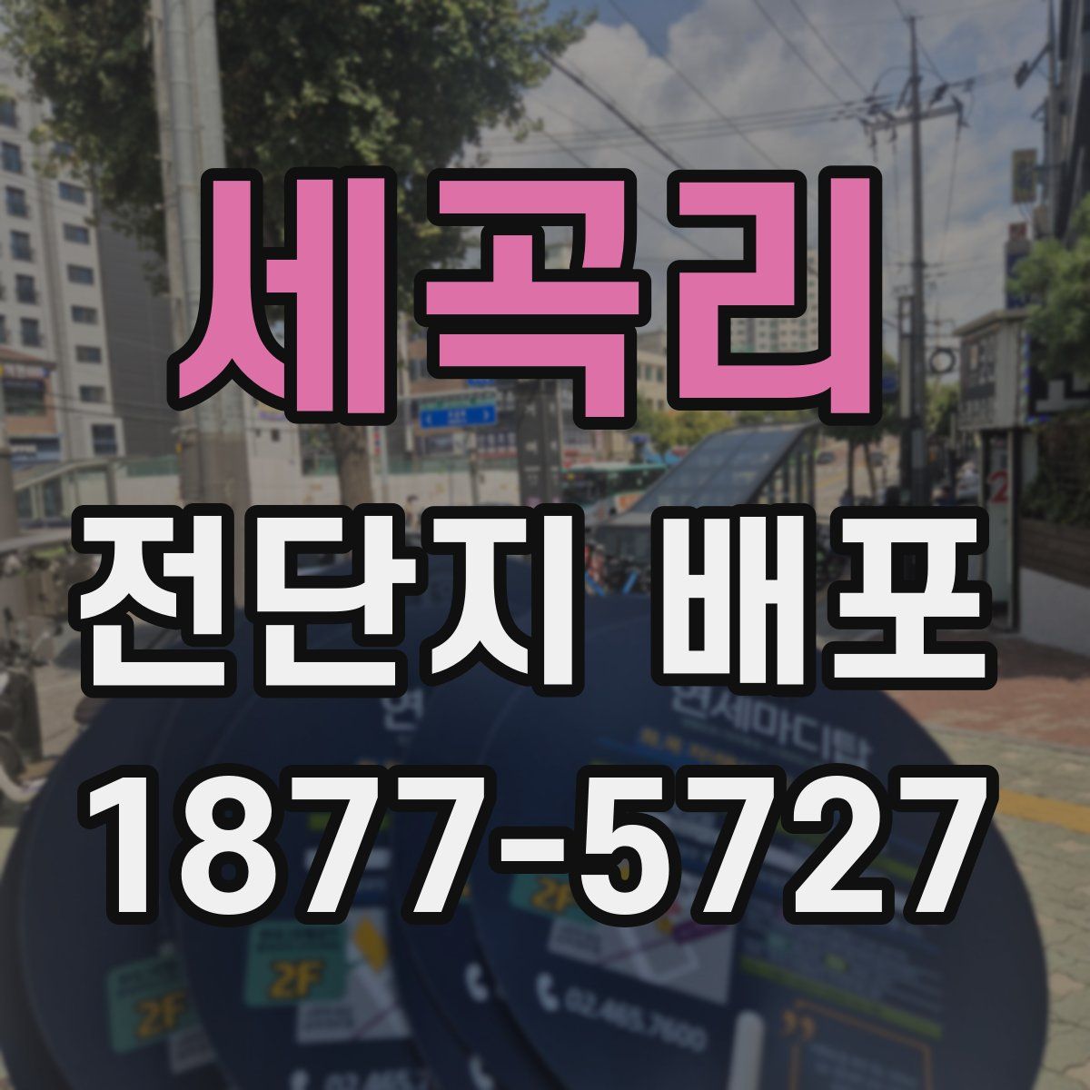 세곡리 전단지 배포