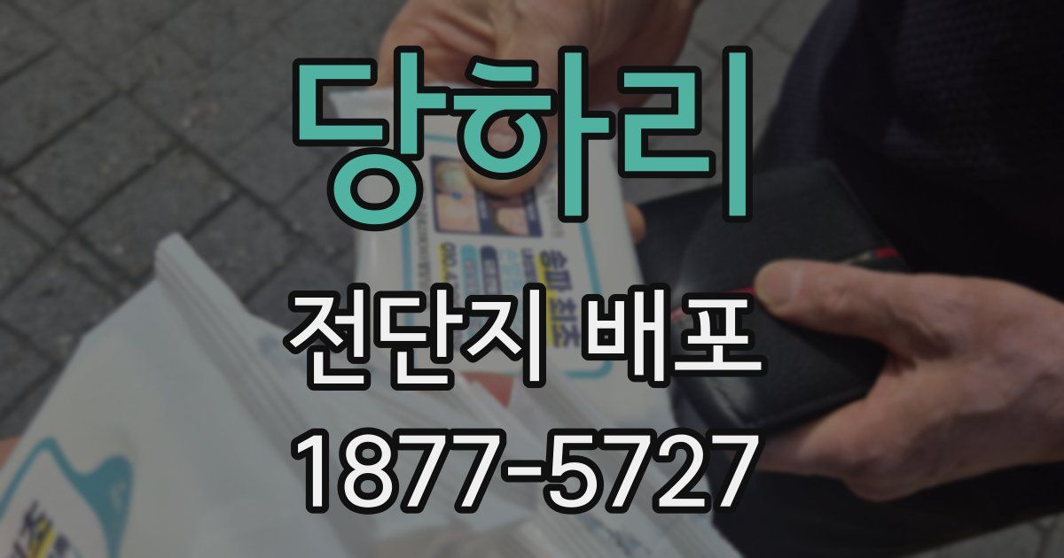 당하리 전단지 배포