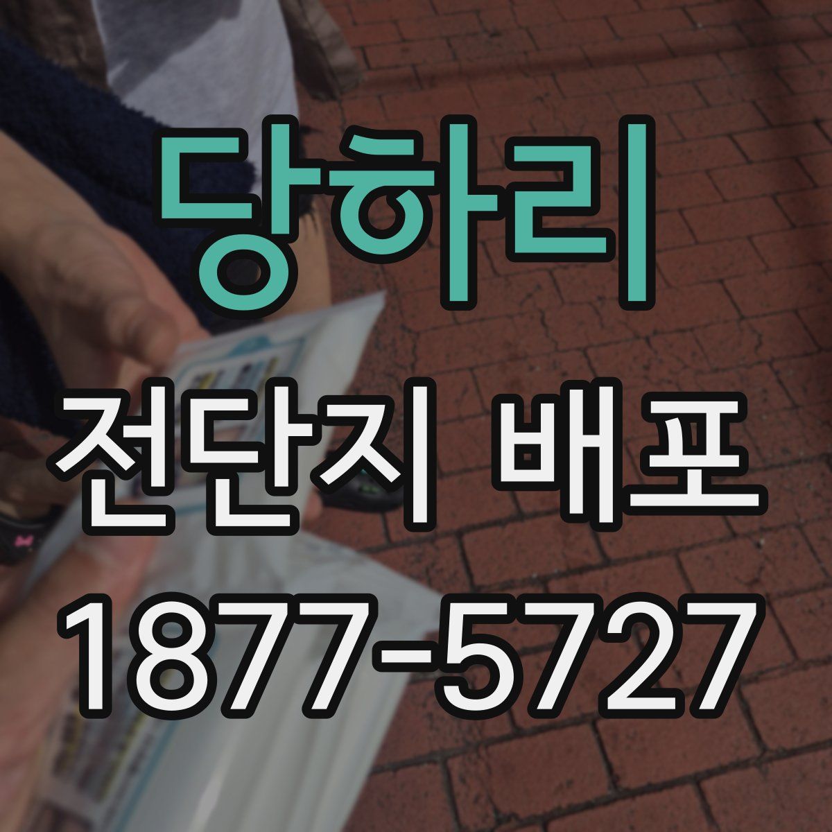 당하리 전단지 배포