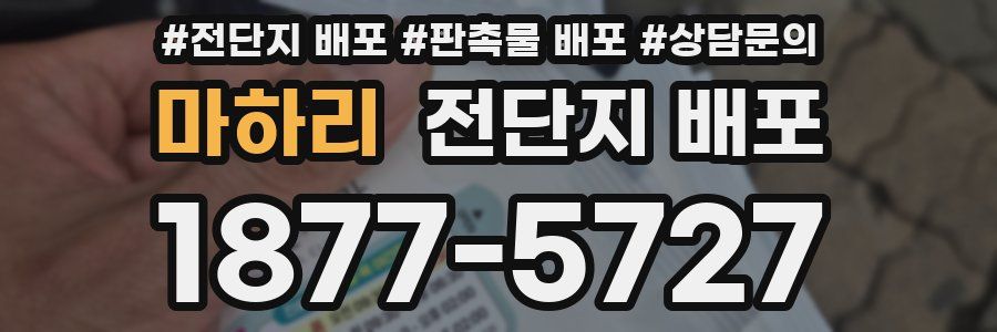 마하리 전단지 배포
