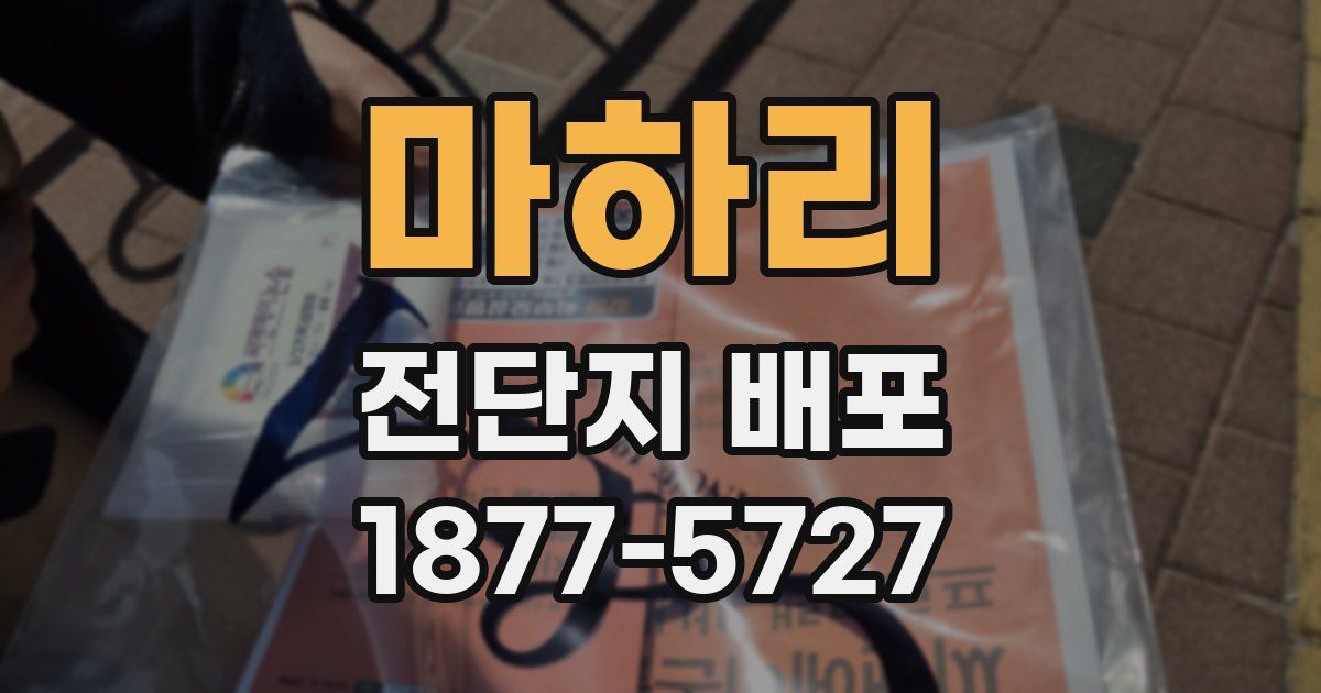 마하리 전단지 배포