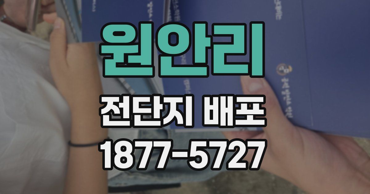 원안리 전단지 배포
