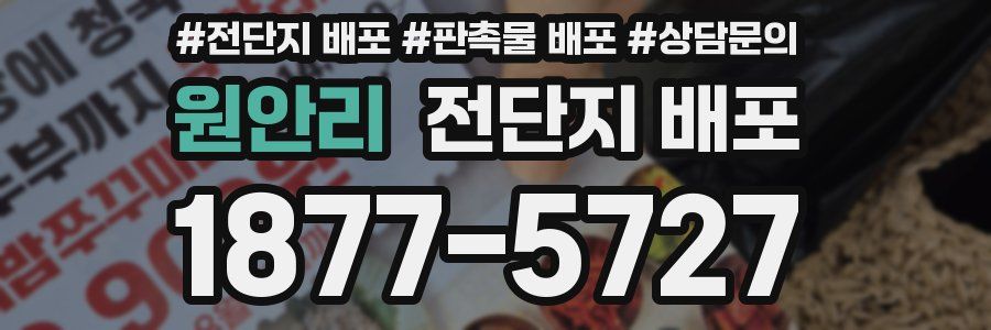 원안리 전단지 배포