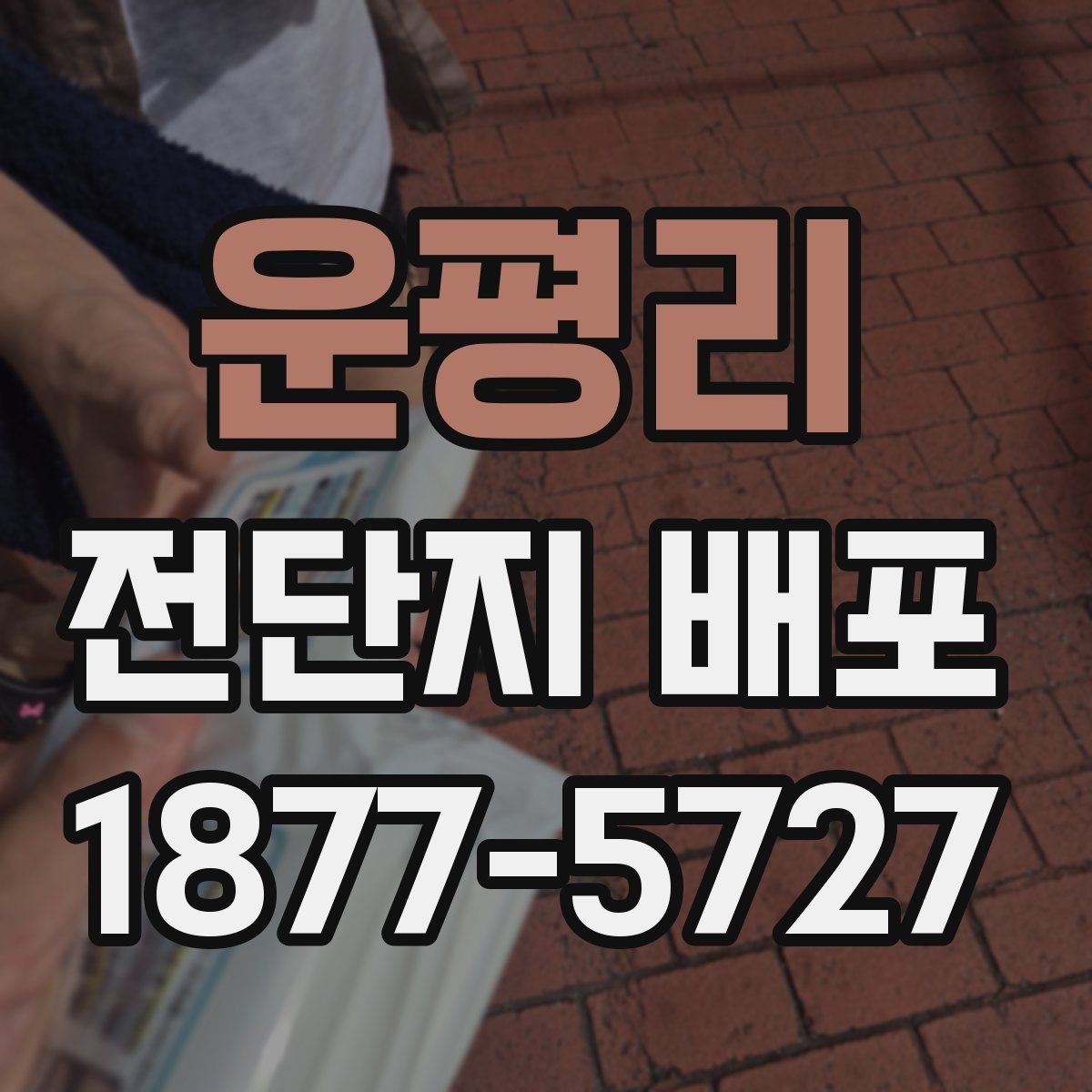 운평리 전단지 배포