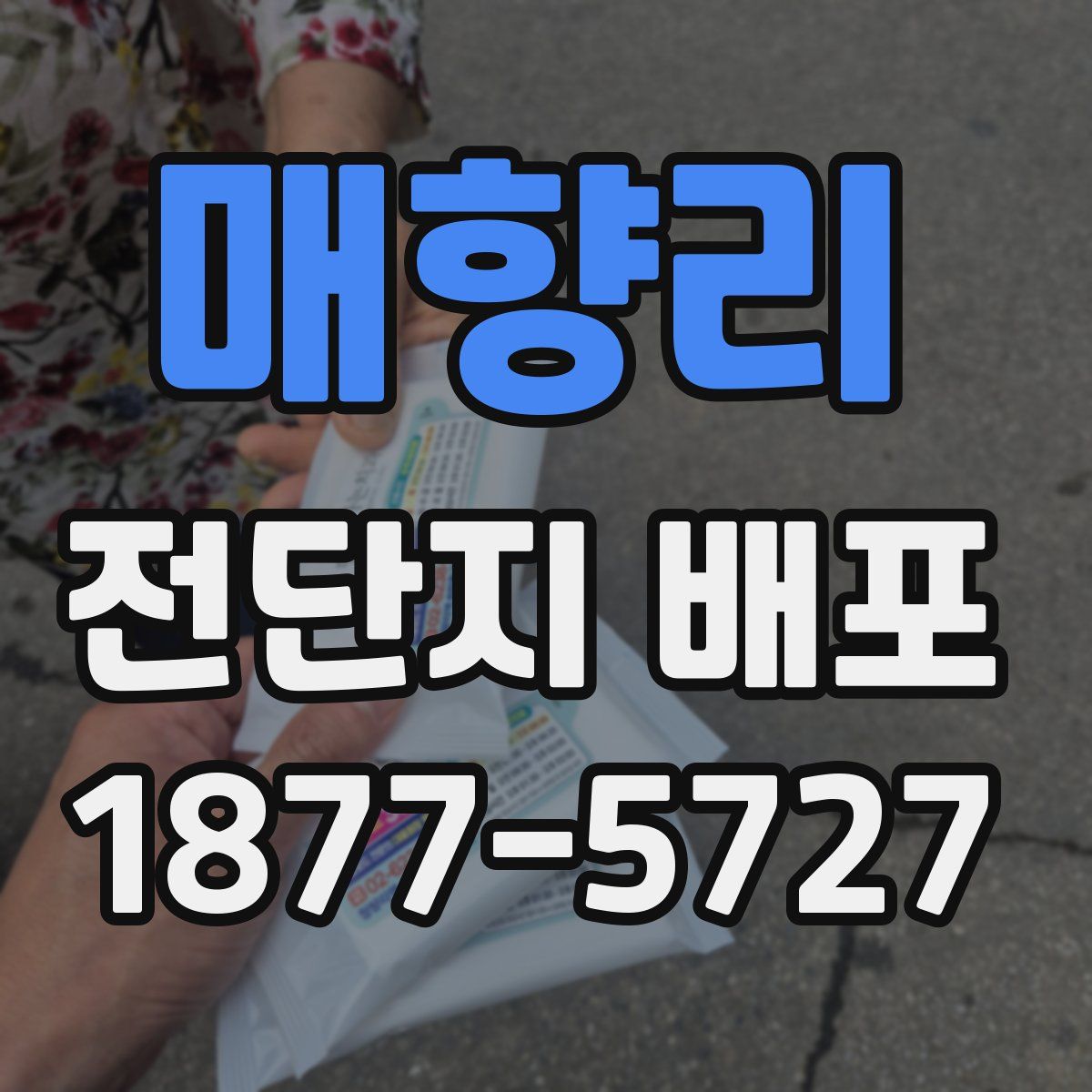 매향리 전단지 배포