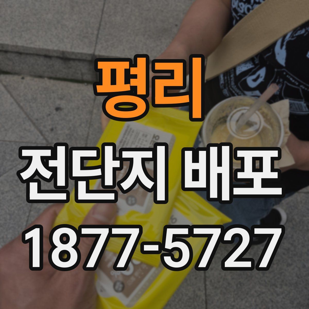 평리 전단지 배포