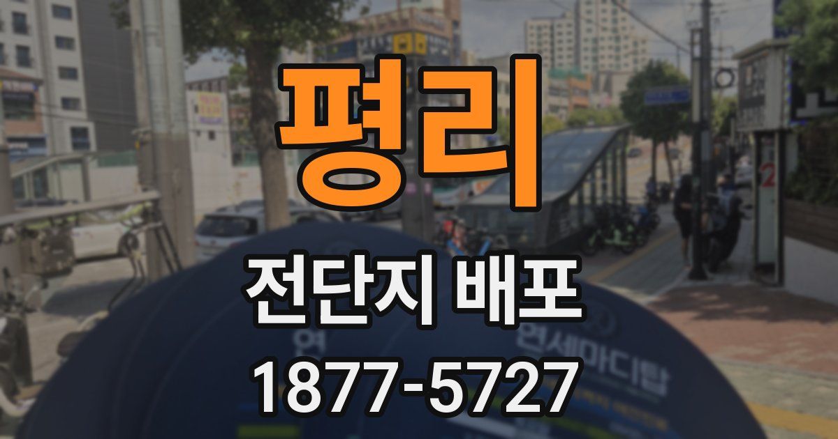 평리 전단지 배포