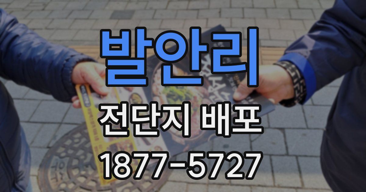 발안리 전단지 배포