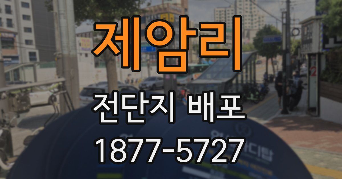 제암리 전단지 배포