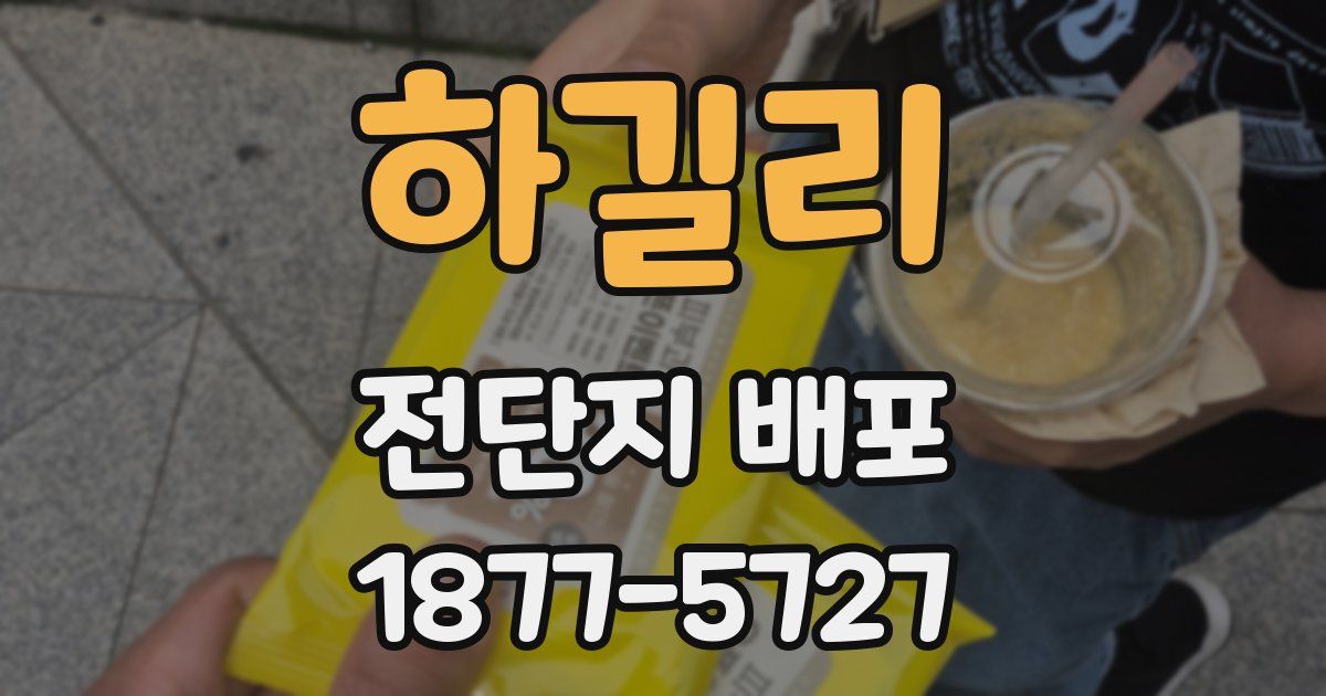 하길리 전단지 배포
