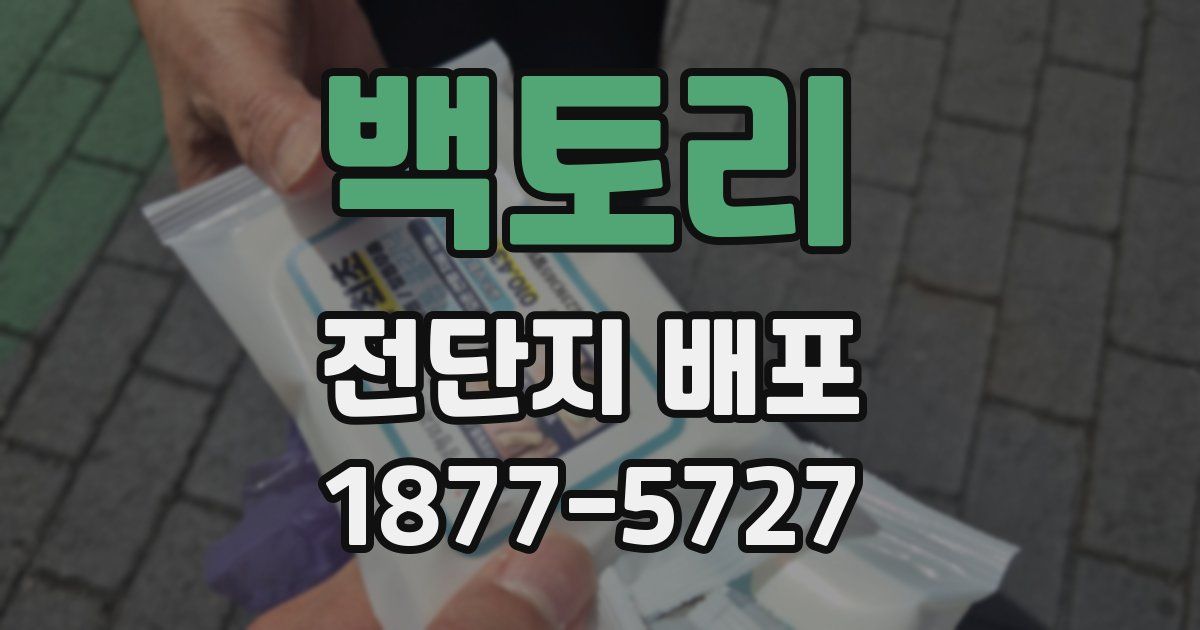 백토리 전단지 배포