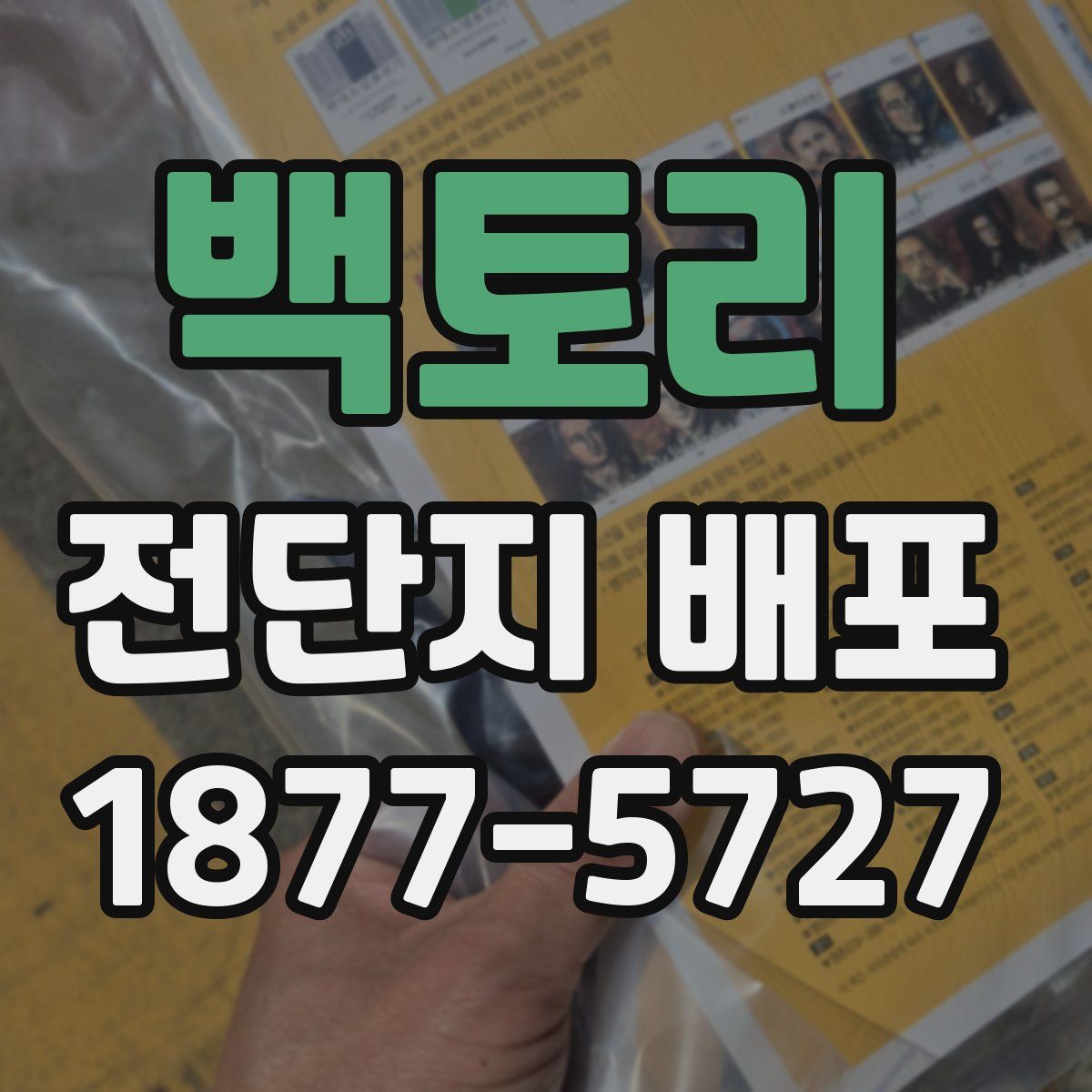 백토리 전단지 배포