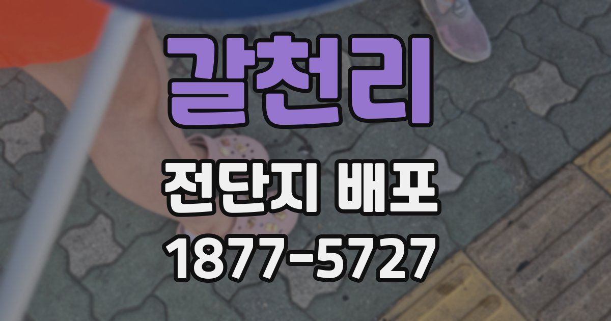 갈천리 전단지 배포