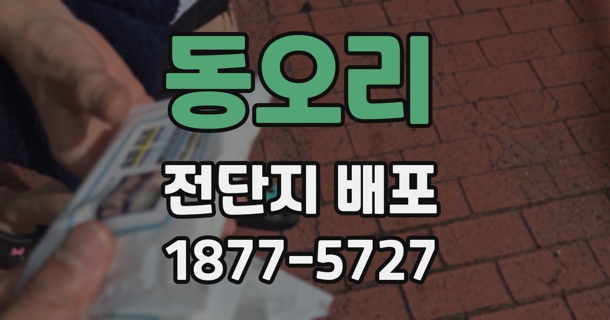 동오리 전단지 배포