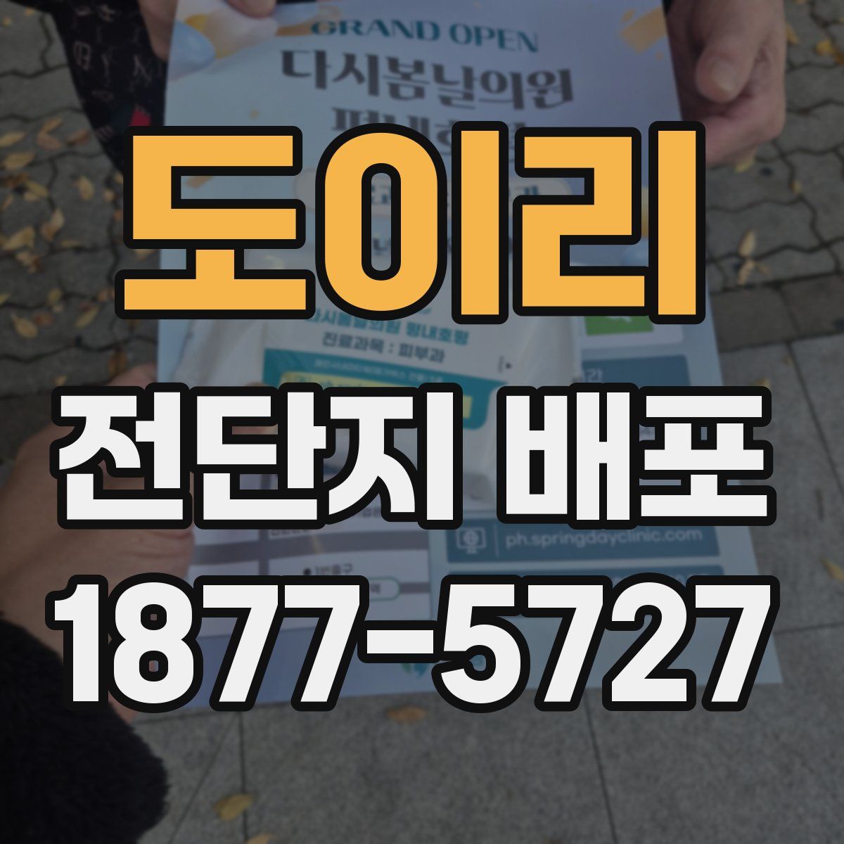 도이리 전단지 배포