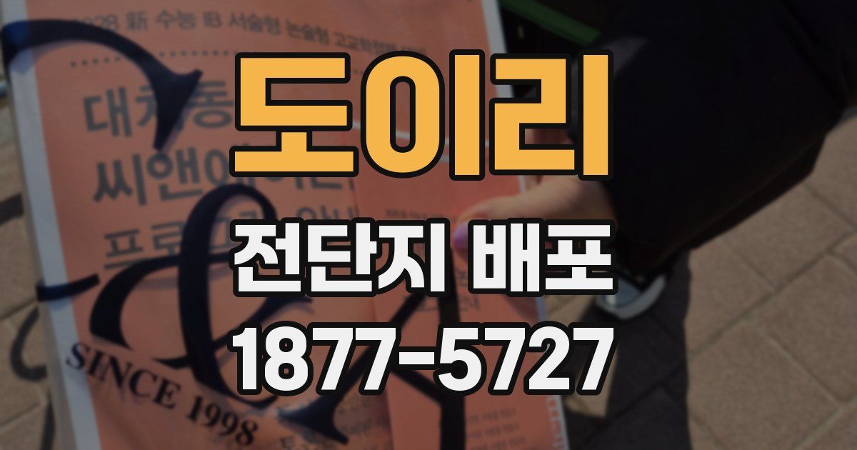 도이리 전단지 배포