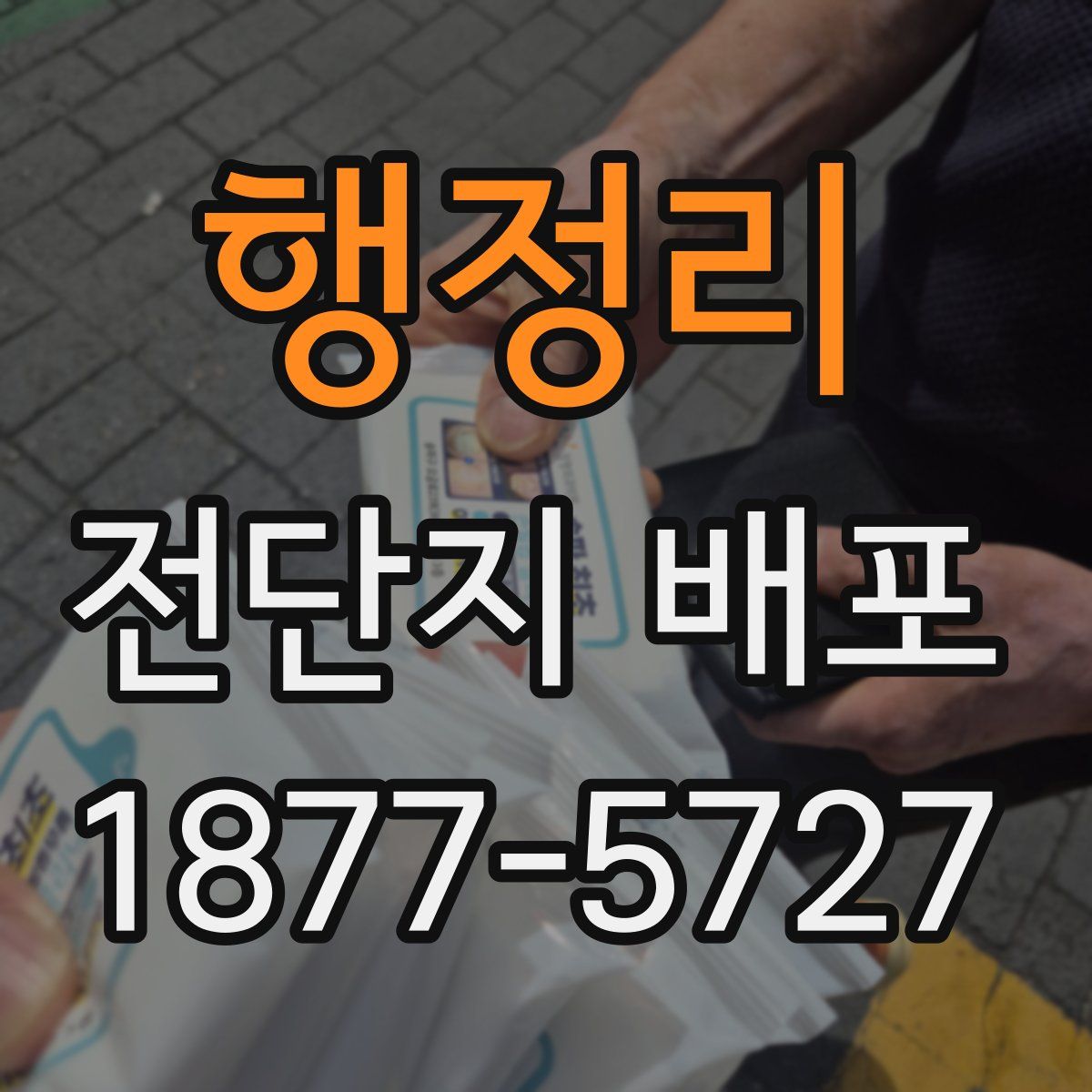 행정리 전단지 배포