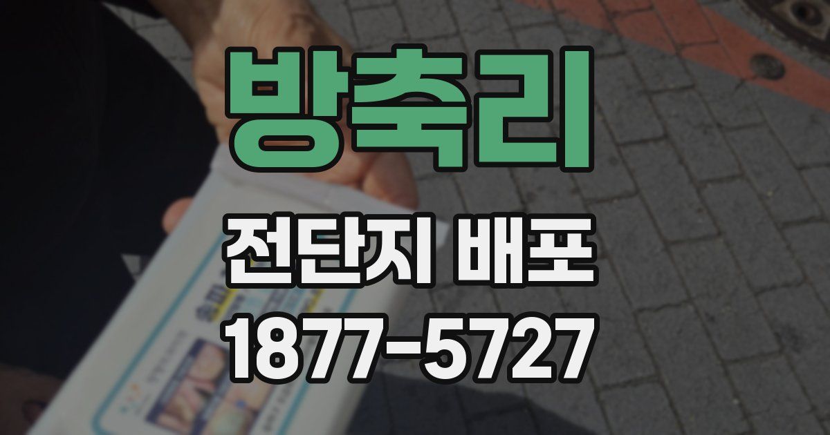 방축리 전단지 배포