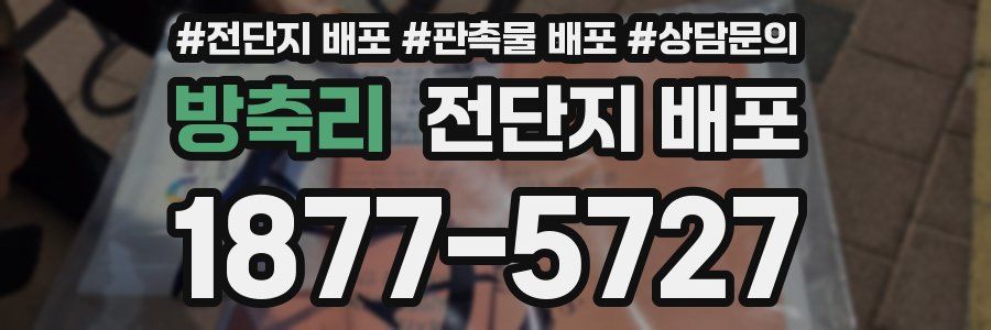 방축리 전단지 배포