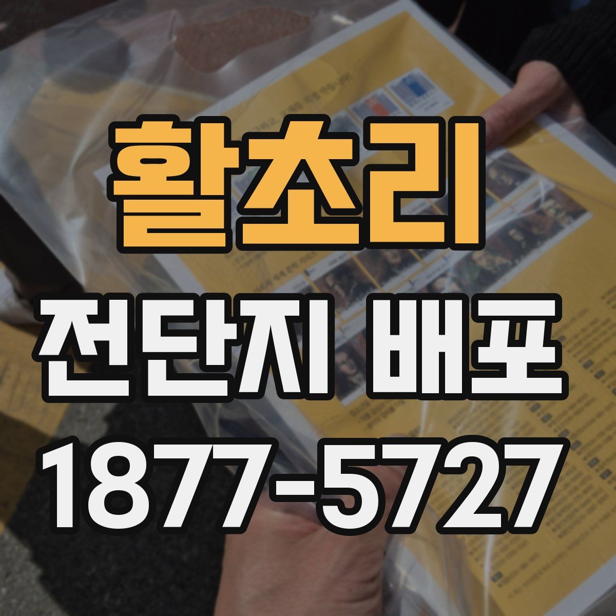 활초리 전단지 배포
