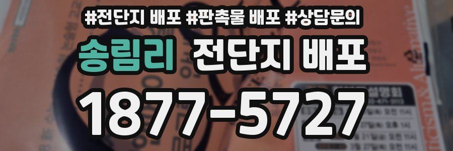 송림리 전단지 배포