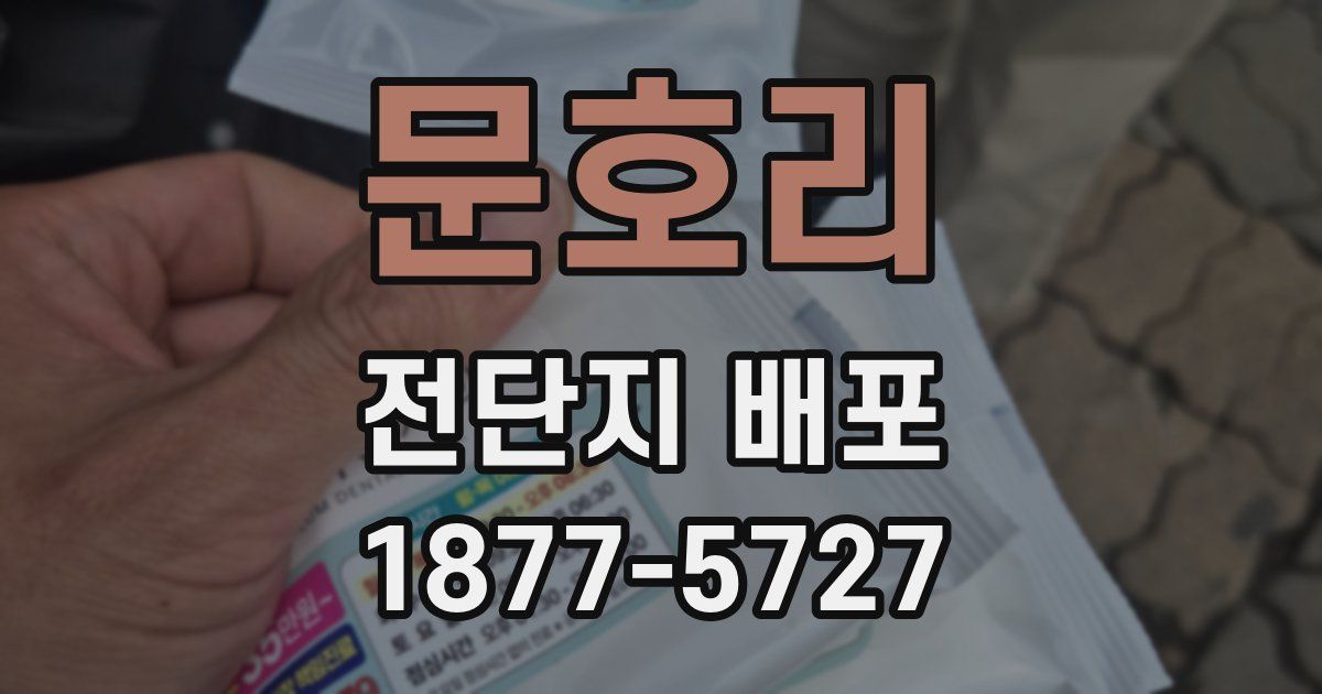 문호리 전단지 배포