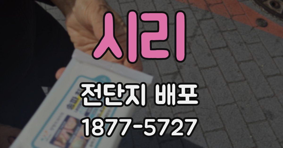 시리 전단지 배포