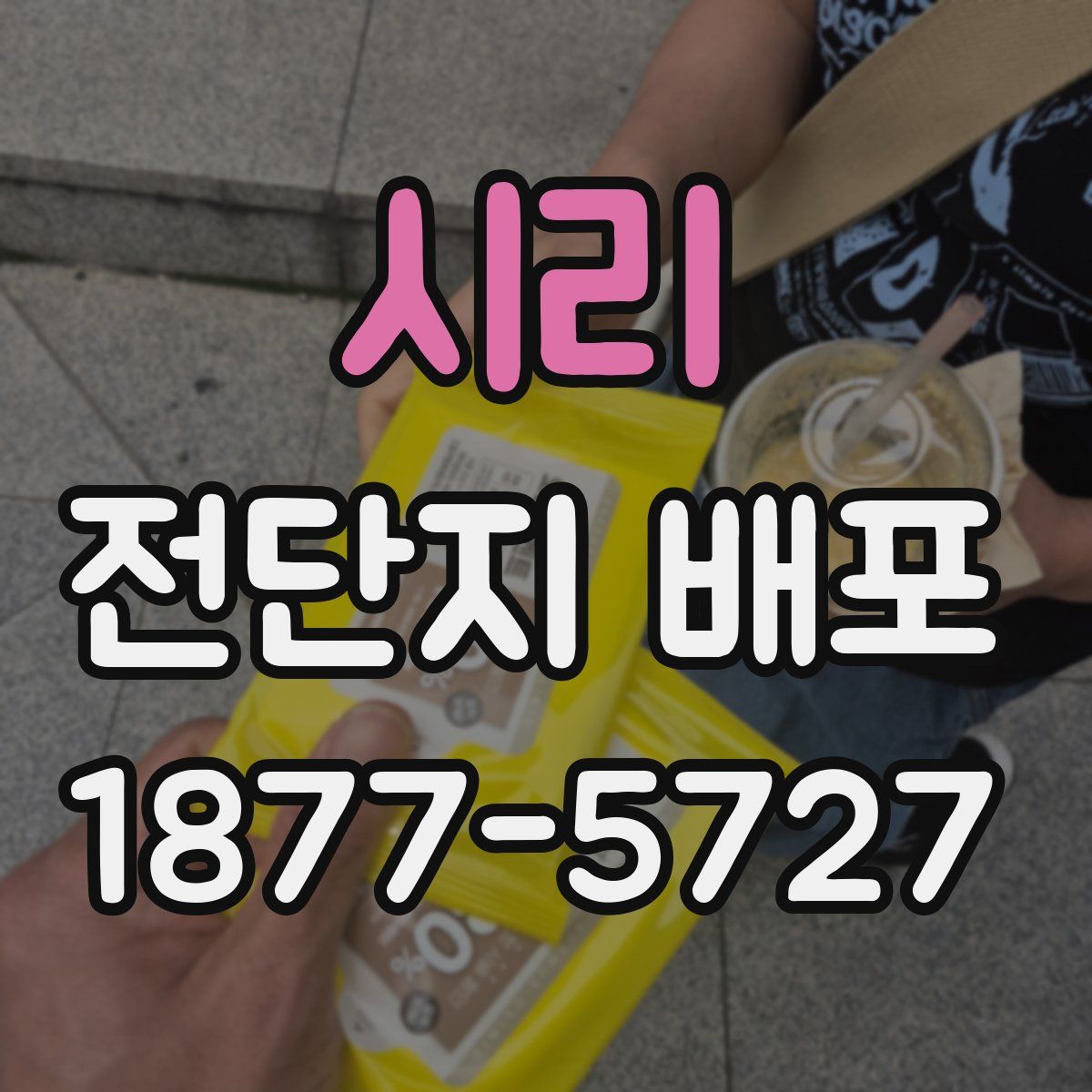 시리 전단지 배포