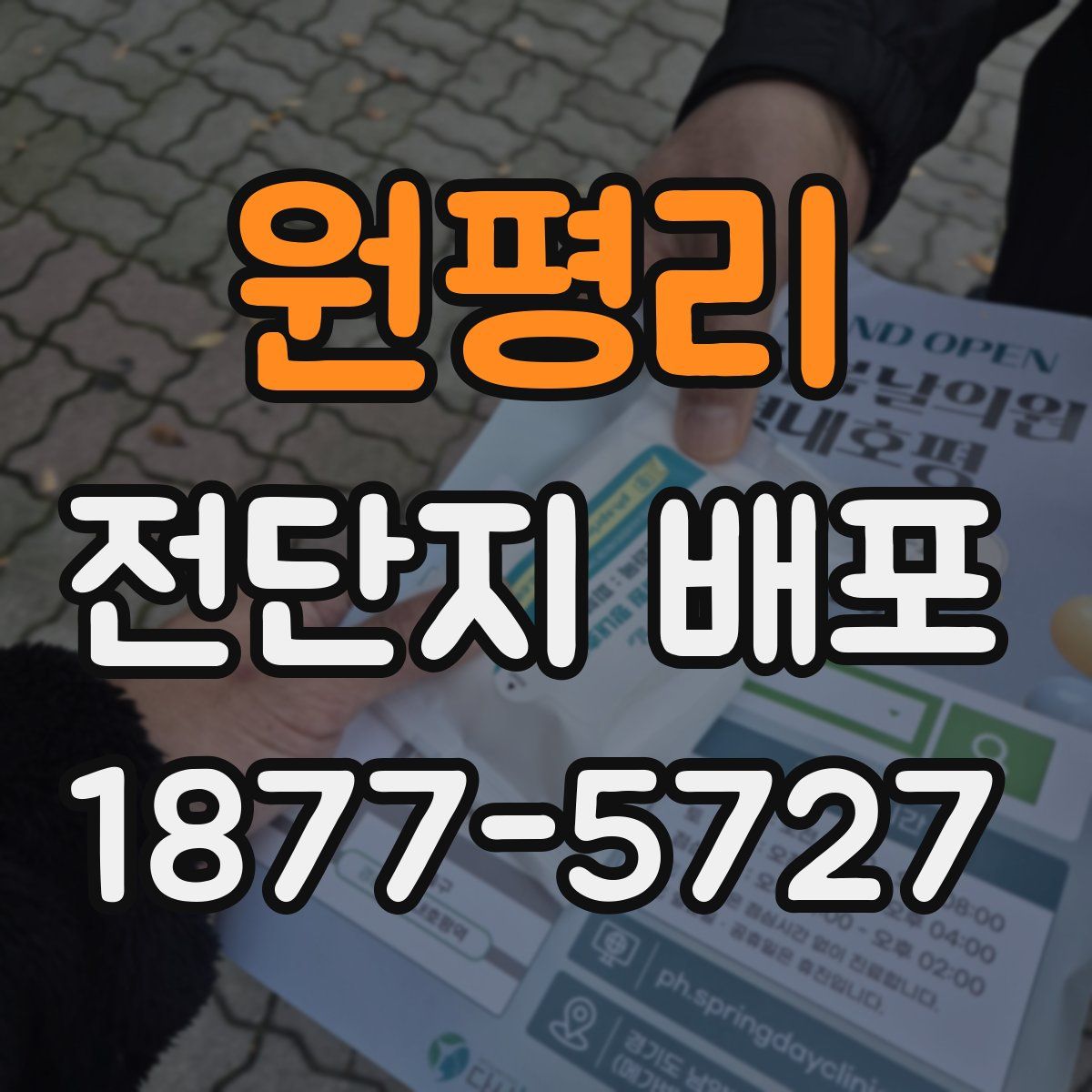 원평리 전단지 배포