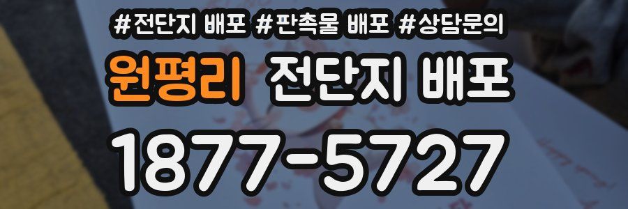 원평리 전단지 배포