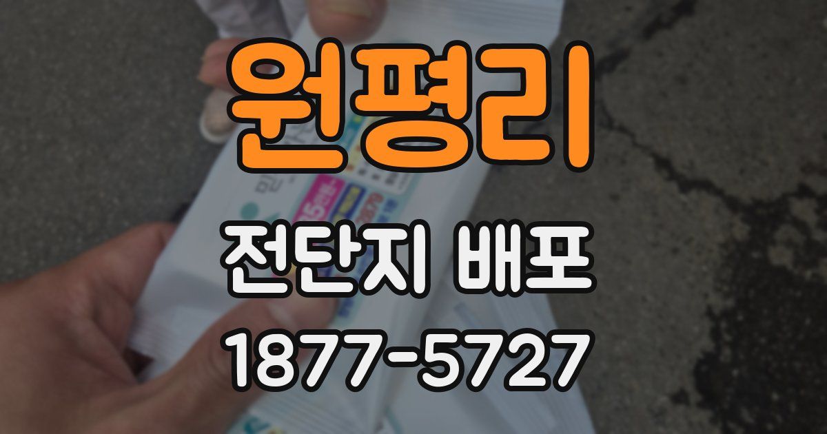 원평리 전단지 배포