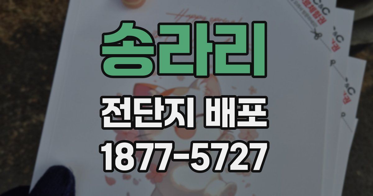 송라리 전단지 배포