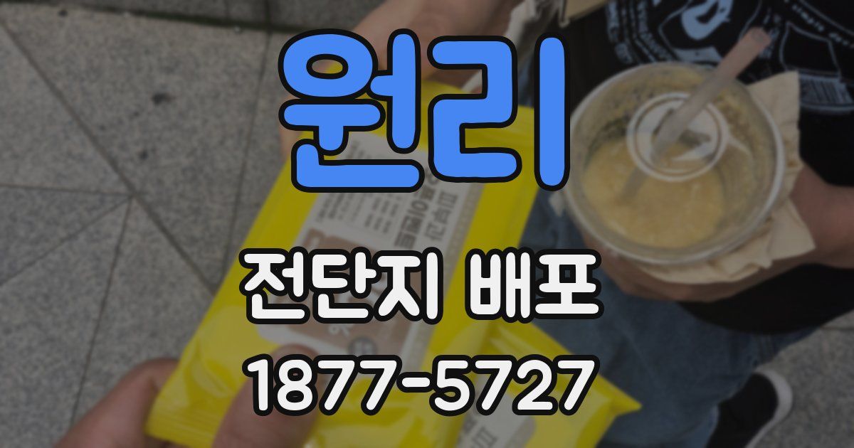 원리 전단지 배포