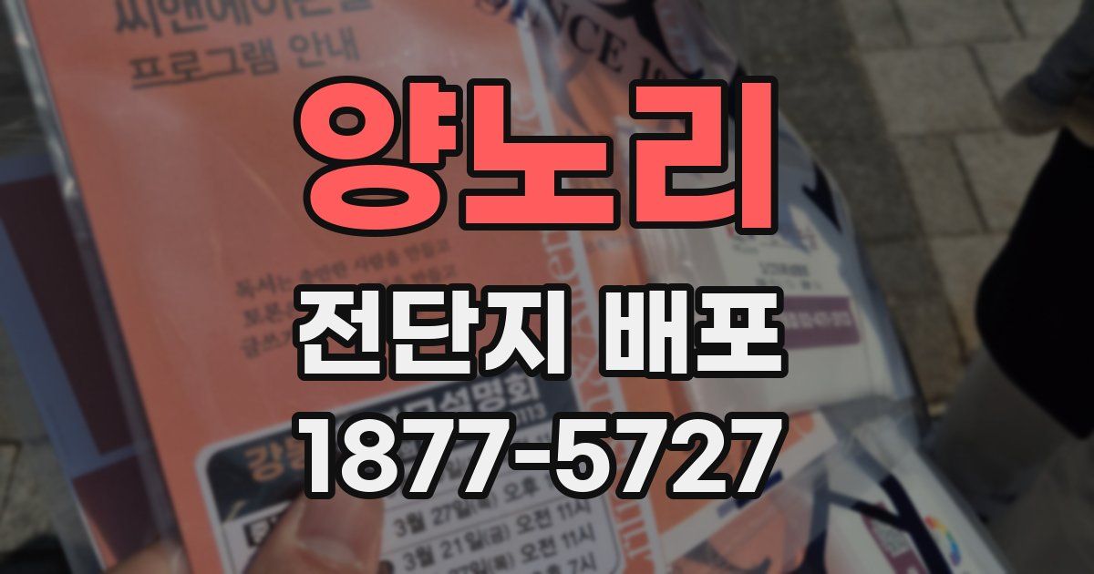 양노리 전단지 배포