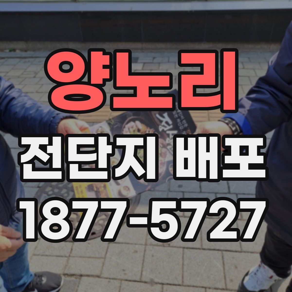 양노리 전단지 배포